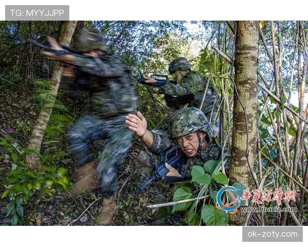 巴尔科拉左右路进攻效率对比：战术适配性与产出差异分析