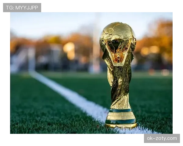 波黑能否突破重围晋级2026世界杯 预选赛出线形势深度分析